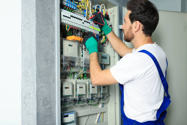 Best Electric Panel Repair  in Fort Lupton, CO